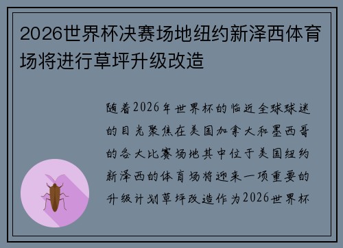 2026世界杯决赛场地纽约新泽西体育场将进行草坪升级改造